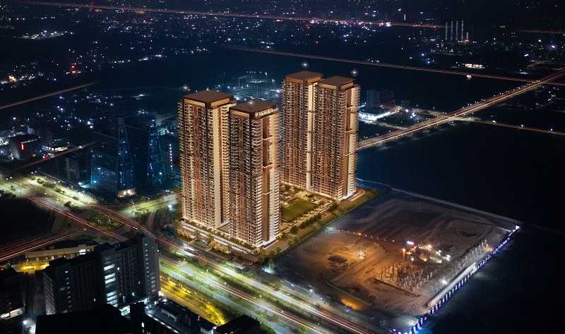 Night Bird Eye View 3